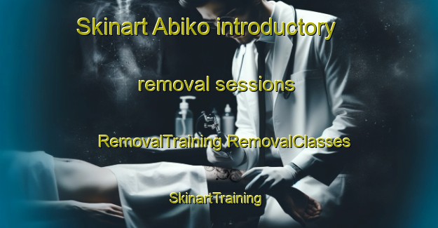 Skinart Abiko introductory removal sessions | #RemovalTraining #RemovalClasses #SkinartTraining-Japan