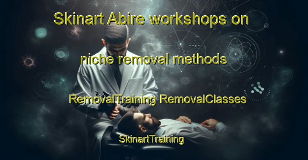 Skinart Abire workshops on niche removal methods | #RemovalTraining #RemovalClasses #SkinartTraining-Japan