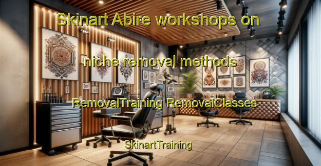 Skinart Abire workshops on niche removal methods | #RemovalTraining #RemovalClasses #SkinartTraining-Japan