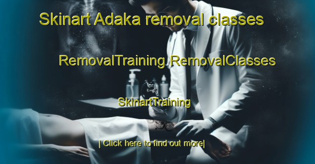 Skinart Adaka removal classes | #RemovalTraining #RemovalClasses #SkinartTraining-Japan