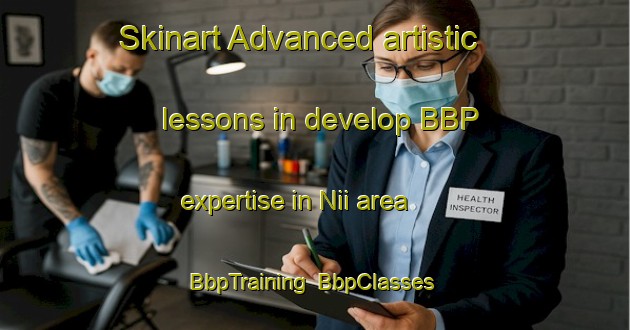 Skinart Advanced artistic lessons in develop BBP expertise in Nii area | BbpTraining | BbpClasses | SkinartTraining-Japan