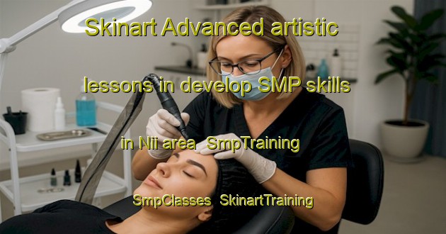Skinart Advanced artistic lessons in develop SMP skills in Nii area | SmpTraining | SmpClasses | SkinartTraining-Japan