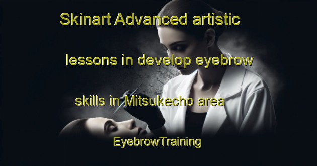 Skinart Advanced artistic lessons in develop eyebrow skills in Mitsukecho area | EyebrowTraining | EyebrowClasses | SkinartTraining-Japan
