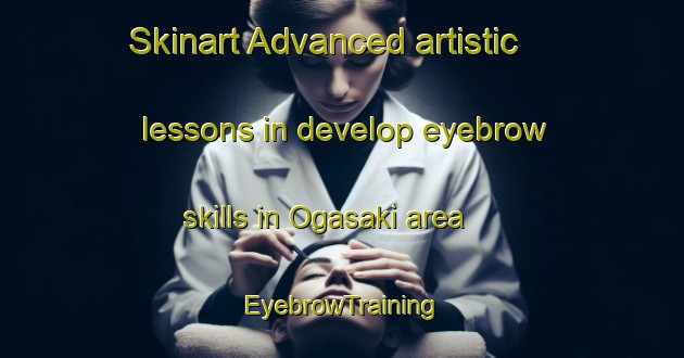 Skinart Advanced artistic lessons in develop eyebrow skills in Ogasaki area | EyebrowTraining | EyebrowClasses | SkinartTraining-Japan
