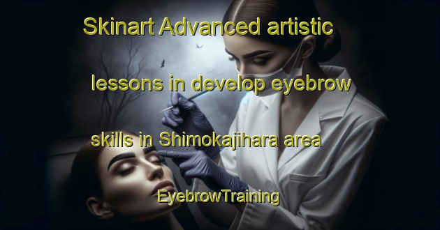 Skinart Advanced artistic lessons in develop eyebrow skills in Shimokajihara area | EyebrowTraining | EyebrowClasses | SkinartTraining-Japan