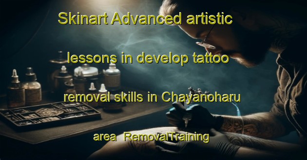 Skinart Advanced artistic lessons in develop tattoo removal skills in Chayanoharu area | RemovalTraining | RemovalClasses | SkinartTraining-Japan
