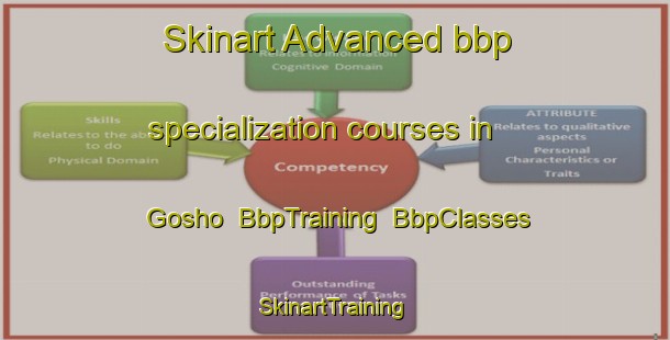 Skinart Advanced bbp specialization courses in Gosho | BbpTraining | BbpClasses | SkinartTraining-Japan