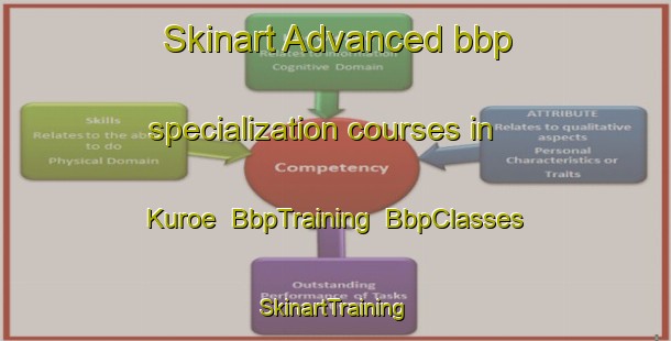 Skinart Advanced bbp specialization courses in Kuroe | BbpTraining | BbpClasses | SkinartTraining-Japan