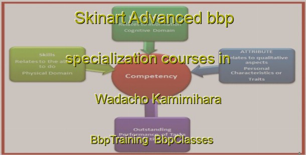 Skinart Advanced bbp specialization courses in Wadacho Kamimihara | BbpTraining | BbpClasses | SkinartTraining-Japan