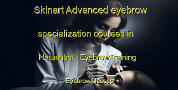 Skinart Advanced eyebrow specialization courses in Harunobori | EyebrowTraining | EyebrowClasses | SkinartTraining-Japan