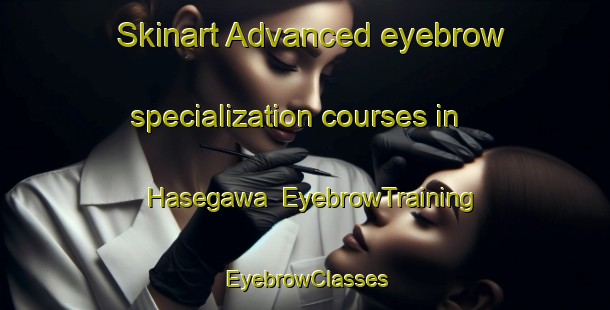 Skinart Advanced eyebrow specialization courses in Hasegawa | EyebrowTraining | EyebrowClasses | SkinartTraining-Japan