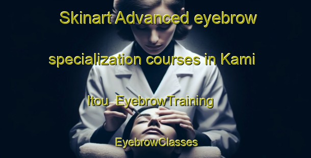Skinart Advanced eyebrow specialization courses in Kami Itou | EyebrowTraining | EyebrowClasses | SkinartTraining-Japan