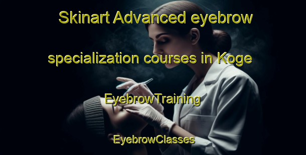 Skinart Advanced eyebrow specialization courses in Koge | EyebrowTraining | EyebrowClasses | SkinartTraining-Japan
