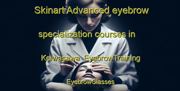 Skinart Advanced eyebrow specialization courses in Koiwasawa | EyebrowTraining | EyebrowClasses | SkinartTraining-Japan