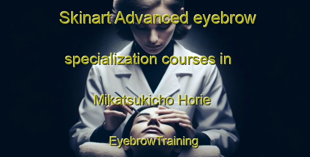 Skinart Advanced eyebrow specialization courses in Mikatsukicho Horie | EyebrowTraining | EyebrowClasses | SkinartTraining-Japan