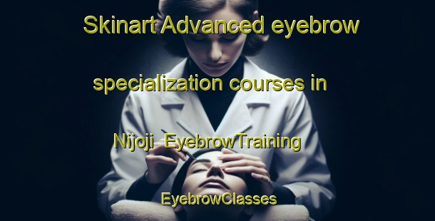 Skinart Advanced eyebrow specialization courses in Nijoji | EyebrowTraining | EyebrowClasses | SkinartTraining-Japan