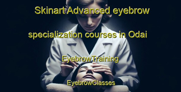 Skinart Advanced eyebrow specialization courses in Odai | EyebrowTraining | EyebrowClasses | SkinartTraining-Japan