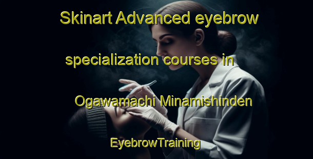 Skinart Advanced eyebrow specialization courses in Ogawamachi Minamishinden | EyebrowTraining | EyebrowClasses | SkinartTraining-Japan