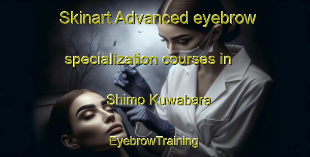 Skinart Advanced eyebrow specialization courses in Shimo Kuwabara | EyebrowTraining | EyebrowClasses | SkinartTraining-Japan