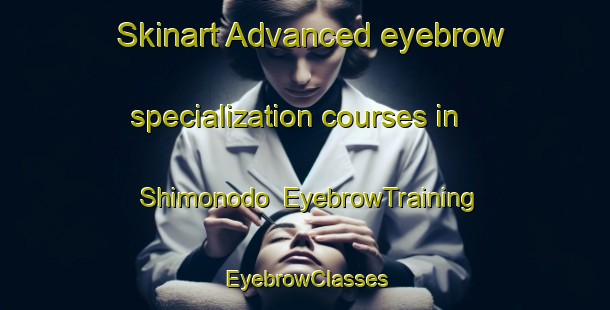 Skinart Advanced eyebrow specialization courses in Shimonodo | EyebrowTraining | EyebrowClasses | SkinartTraining-Japan