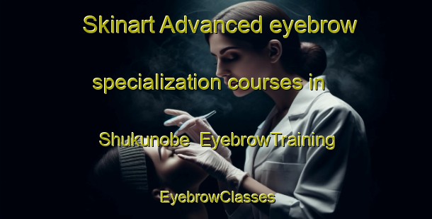Skinart Advanced eyebrow specialization courses in Shukunobe | EyebrowTraining | EyebrowClasses | SkinartTraining-Japan