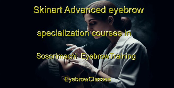 Skinart Advanced eyebrow specialization courses in Sosorimachi | EyebrowTraining | EyebrowClasses | SkinartTraining-Japan