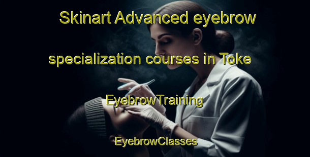 Skinart Advanced eyebrow specialization courses in Toke | EyebrowTraining | EyebrowClasses | SkinartTraining-Japan