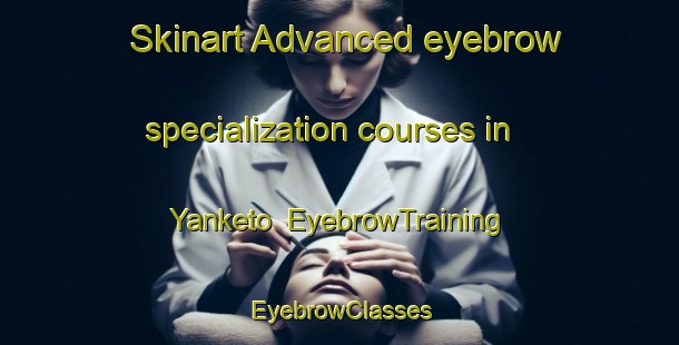 Skinart Advanced eyebrow specialization courses in Yanketo | EyebrowTraining | EyebrowClasses | SkinartTraining-Japan