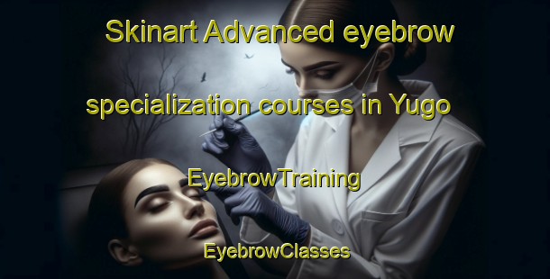 Skinart Advanced eyebrow specialization courses in Yugo | EyebrowTraining | EyebrowClasses | SkinartTraining-Japan