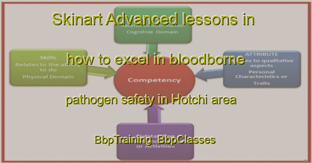 Skinart Advanced lessons in how to excel in bloodborne pathogen safety in Hotchi area | BbpTraining | BbpClasses | SkinartTraining-Japan