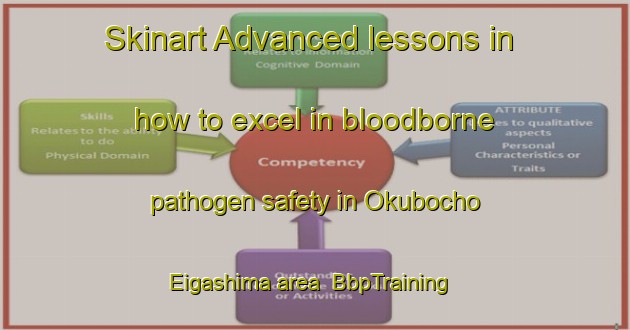 Skinart Advanced lessons in how to excel in bloodborne pathogen safety in Okubocho Eigashima area | BbpTraining | BbpClasses | SkinartTraining-Japan
