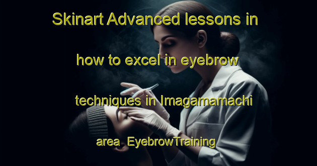 Skinart Advanced lessons in how to excel in eyebrow techniques in Imagamamachi area | EyebrowTraining | EyebrowClasses | SkinartTraining-Japan