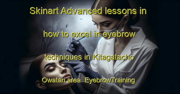 Skinart Advanced lessons in how to excel in eyebrow techniques in Kitagatacho Owatari area | EyebrowTraining | EyebrowClasses | SkinartTraining-Japan