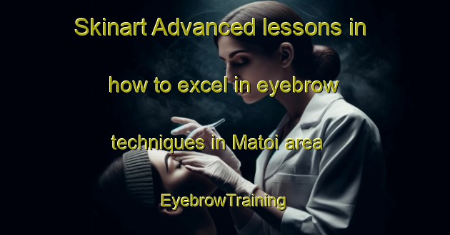 Skinart Advanced lessons in how to excel in eyebrow techniques in Matoi area | EyebrowTraining | EyebrowClasses | SkinartTraining-Japan