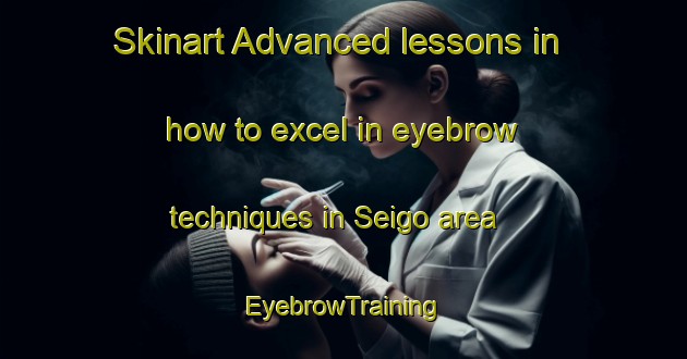 Skinart Advanced lessons in how to excel in eyebrow techniques in Seigo area | EyebrowTraining | EyebrowClasses | SkinartTraining-Japan