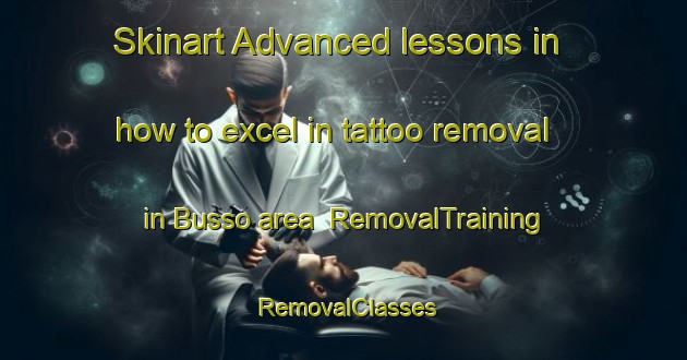 Skinart Advanced lessons in how to excel in tattoo removal in Busso area | RemovalTraining | RemovalClasses | SkinartTraining-Japan