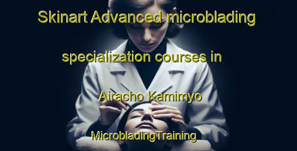Skinart Advanced microblading specialization courses in Airacho Kamimyo | MicrobladingTraining | MicrobladingClasses | SkinartTraining-Japan