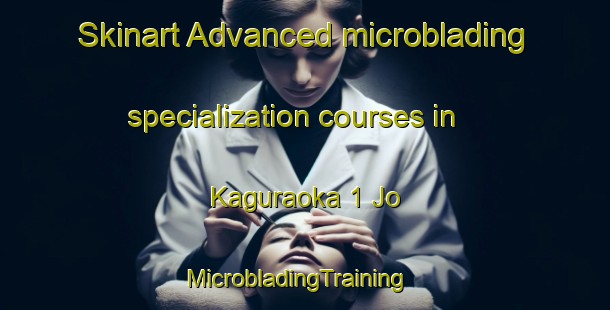 Skinart Advanced microblading specialization courses in Kaguraoka 1 Jo | MicrobladingTraining | MicrobladingClasses | SkinartTraining-Japan