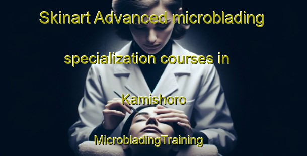 Skinart Advanced microblading specialization courses in Kamishoro | MicrobladingTraining | MicrobladingClasses | SkinartTraining-Japan