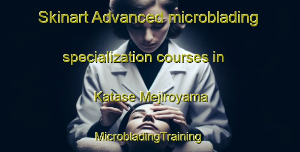 Skinart Advanced microblading specialization courses in Katase Mejiroyama | #MicrobladingTraining #MicrobladingClasses #SkinartTraining-Japan