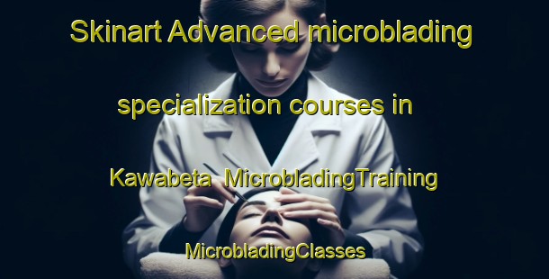 Skinart Advanced microblading specialization courses in Kawabeta | #MicrobladingTraining #MicrobladingClasses #SkinartTraining-Japan