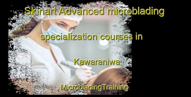 Skinart Advanced microblading specialization courses in Kawaraniwa | #MicrobladingTraining #MicrobladingClasses #SkinartTraining-Japan