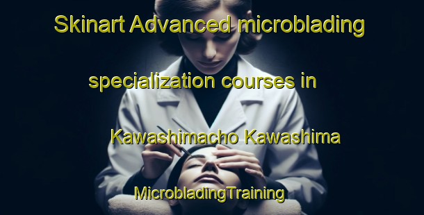 Skinart Advanced microblading specialization courses in Kawashimacho Kawashima | #MicrobladingTraining #MicrobladingClasses #SkinartTraining-Japan