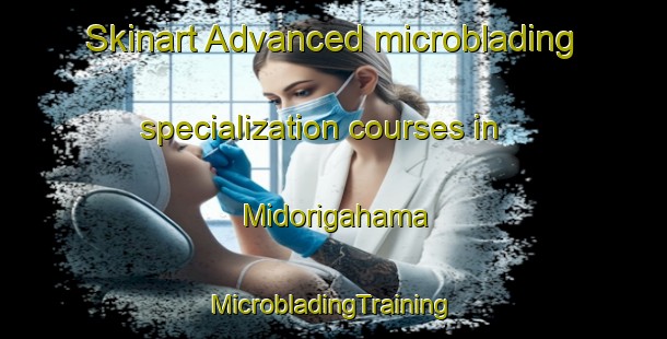 Skinart Advanced microblading specialization courses in Midorigahama | #MicrobladingTraining #MicrobladingClasses #SkinartTraining-Japan