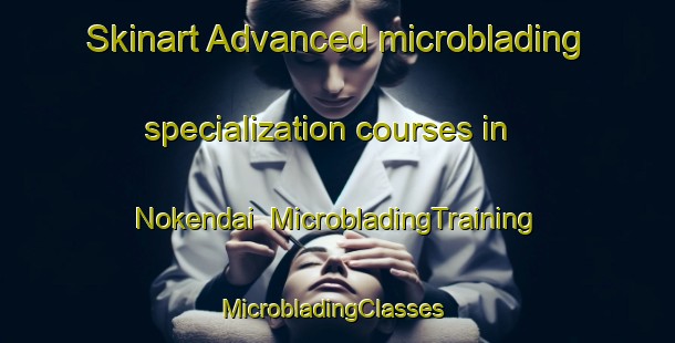 Skinart Advanced microblading specialization courses in Nokendai | MicrobladingTraining | MicrobladingClasses | SkinartTraining-Japan