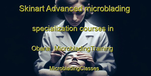 Skinart Advanced microblading specialization courses in Obarai | MicrobladingTraining | MicrobladingClasses | SkinartTraining-Japan