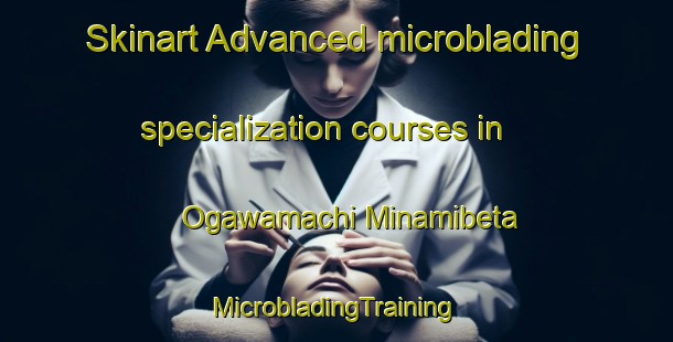 Skinart Advanced microblading specialization courses in Ogawamachi Minamibeta | #MicrobladingTraining #MicrobladingClasses #SkinartTraining-Japan