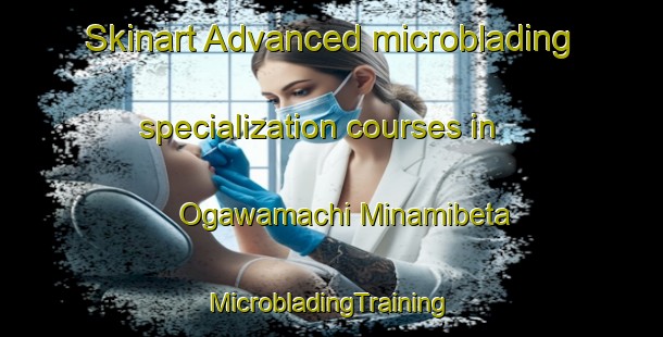 Skinart Advanced microblading specialization courses in Ogawamachi Minamibeta | #MicrobladingTraining #MicrobladingClasses #SkinartTraining-Japan