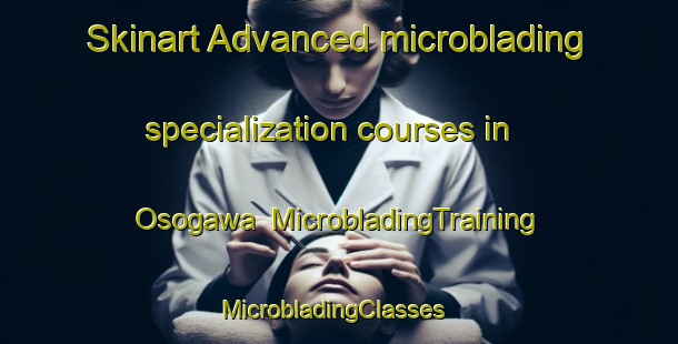 Skinart Advanced microblading specialization courses in Osogawa | MicrobladingTraining | MicrobladingClasses | SkinartTraining-Japan
