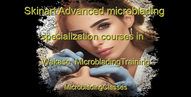 Skinart Advanced microblading specialization courses in Wakase | #MicrobladingTraining #MicrobladingClasses #SkinartTraining-Japan